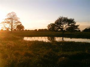 800px-Bradwall-springbank-farm-pond.jpg