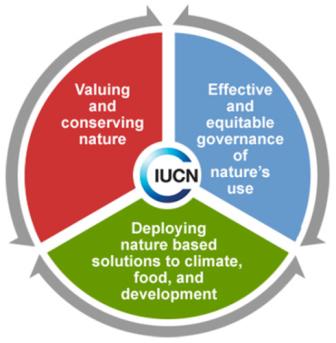 IUCN_programme_2013-2016.jpg